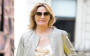 Lack of Sex Appeal Costs Kim Cattrall a TV Gig