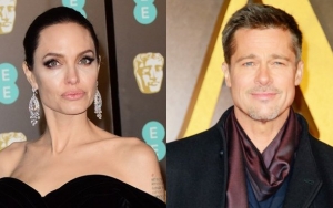 Angelina Jolie and Brad Pitt Reach Temporary Custody Arrangement Amid Heated Battle