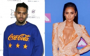 Chris Brown Flirts With 'Pretty Little Liars' Star Shay Mitchell on Instagram