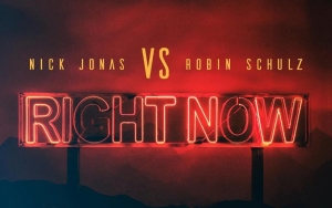 Fans Are Convinced Nick Jonas' New Song 'Right Now' Is About Priyanka Chopra