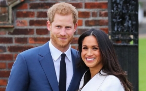 Prince Harry and Meghan Markle Get New Dog Together