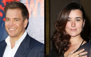 'NCIS' Stars Reuniting for New Crime Drama 'MIA'