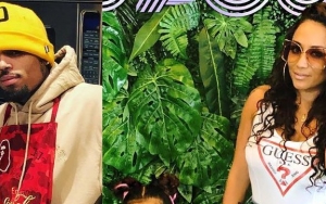 Chris Brown's Baby Mother Demands Increase in Child Support