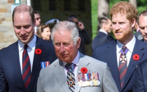 The Palace Calls Claims That Prince Charles Doesn't Get Along With His Sons 'Complete Fiction'
