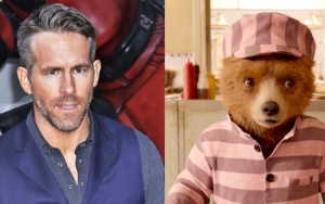 Ryan Reynolds Picks a Fight With Paddington Bear - Find Out How the Bear Reacts
