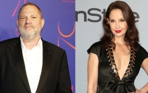 Harvey Weinstein Fails to Have Ashley Judd's Lawsuit Thrown Out
