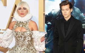 Lady GaGa and Harry Styles Selected as Co-Chairs of 2019 Met Gala
