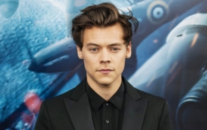 Harry Styles Punches His Way to Fans' Hearts