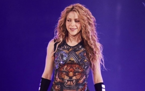 Shakira Tells Security to Back Off After Fan Crashes Stage at Mexico Show