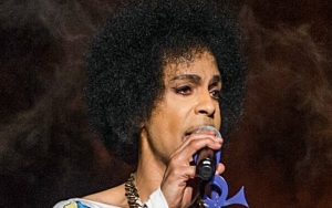 A Company Claims Prince Estate Fails to Pay $45,400 for Appraisal Work