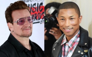 Bono, Pharrell Williams and More Salute Dead Cat With Tribute Album
