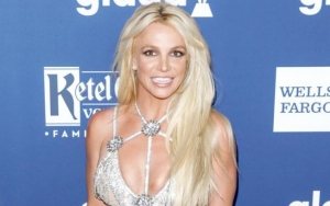 Britney Spears' Lawyer Demands for Increase in Salary