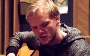 Avicii's Family Possibly Working With Record Label to Release Posthumous Album