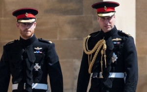 Prince Harry and William Plan 'Formal Division' of Kensington Palace