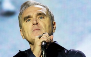 Watch: Morrissey Gets Accidentally Punched by Fan at San Diego Show