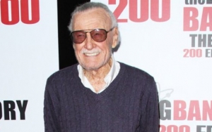 Stan Lee Passed Away at 95 After Medical Emergency