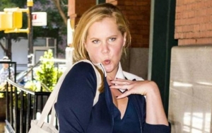 Doctors Orders Forced Pregnant Amy Schumer to Cancel Cross Country Shows