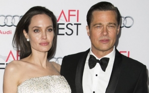 Brad Pitt and Angelina Jolie's Custody Trial to Be Presided by Wedding Officiant