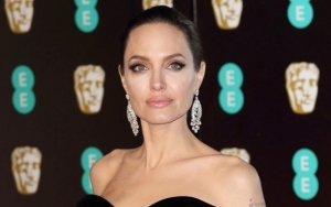 Angelina Jolie Grateful to Join BBC Radio 4 as Guest Editor for Christmas