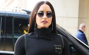 Demi Lovato Offers Look at Her Thanksgiving Feast Post-Rehab Stint