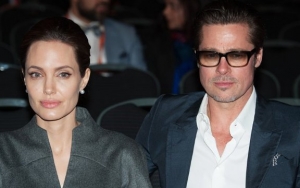 Angelina Jolie and Brad Pitt Request for Extension on Private Judge Appointment