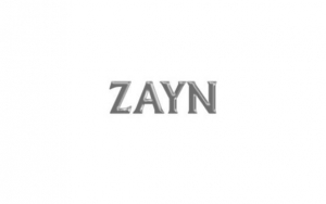 Zayn Malik Calls Out His Cheating Girlfriend on 'Rainberry'
