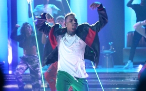 Chris Brown Faces Possible Jail Sentence for Illegal Obsession of Capuchin Monkey 
