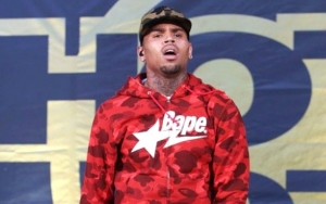 Chris Brown Rebuffs Pet Monkey Ownership After Being Hit With Criminal Charges
