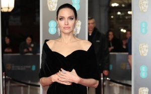 Angelina Jolie Open to Idea of Her Embarking on Political Career