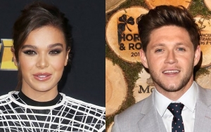 Hailee Steinfeld Denies Calling Ex Niall Horan 'Narcissist'