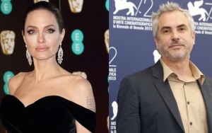 Angelina Jolie Throws a Strict No Social Media Party for 'Roma' Director 