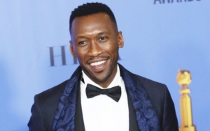 Mahershala Ali Addresses 'Green Book' Controversy Post-2019 Golden Globes Success