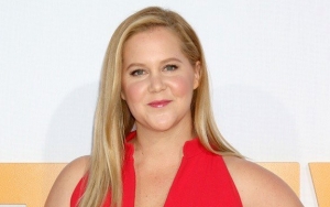 Amy Schumer Scares Off Instagram User Who Photoshopped Her Red Carpet Look 