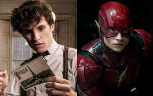 'Fantastic Beasts 3' Production Delay May Also Push Back The Flash Movie