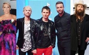 Citi Sound Vault: Pink, Muse and Chris Stapleton to Headline Grammy's Week Concerts