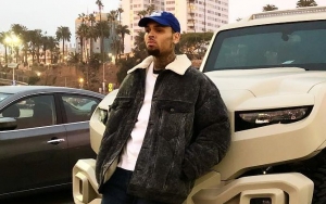 Chris Brown to Counter Rape Accuser's Claim With Defamation Lawsuit