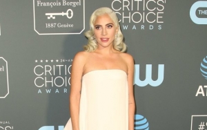 Lady GaGa Misses Her Oscar Nominations Announcement to Get Some Sleep