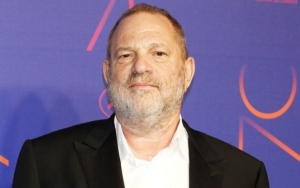 Harvey Weinstein's Attempt to Put Class Action Lawsuit on Hold Falls Short