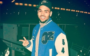 Chris Brown Sues Rape Accuser for Defamation as Police Question Her Story