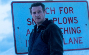 Liam Neeson's Racist Revenge Story Leads to Cancellation of 'Cold Pursuit' New York Premiere 