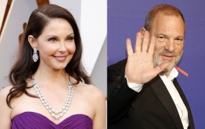 Ashley Judd Pleads for Denial of Harvey Weinstein's Request to Postpone Lawsuit