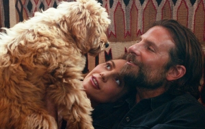 Bradley Cooper Nails Best Director Title From PETA's 'Oscat' Awards