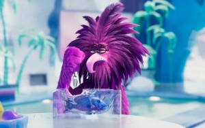 First 'The Angry Birds Movie 2' Teaser Trailer Launches an Icy War