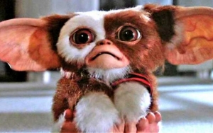 'Gremlins' Animated Series in the Works on WarnerMedia's Upcoming Streaming Service
