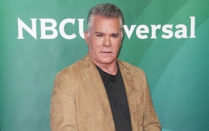 Ray Liotta Lands Pivotal Role in 'The Sopranos' Prequel