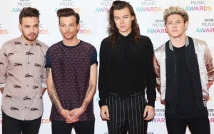 Liam Payne Urges Fans to Stop Blaming Him for Delay in One Direction Reunion