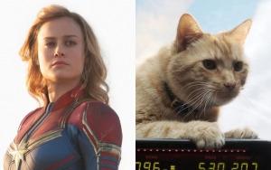 Brie Larson: Captain Marvel's Cat Goose Is a Big Obstacle During Filming