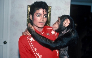 Keepers of Michael Jackson's Chimp Bubbles Think the Singer's Pic Will Upset Him