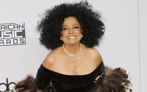 Diana Ross Kicks Fan Poking Her in Stomach Out of Surprise Concert