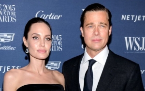 Angelina Jolie and Brad Pitt Work Out Deal to Regain Single Status Amid Ongoing Divorce